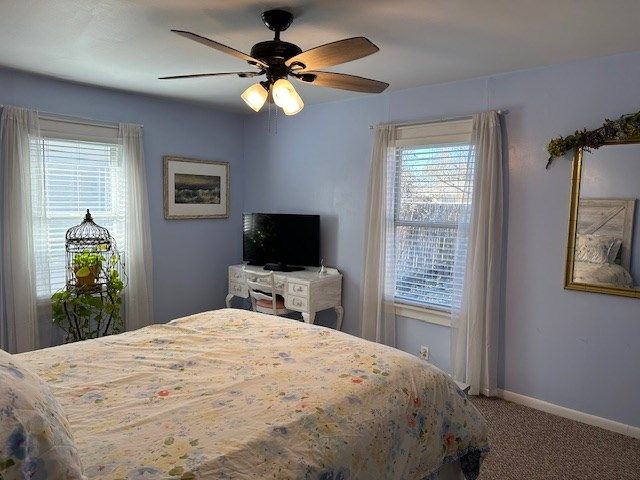 1007 N 5th, Alpine, TX 79830