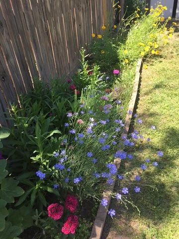 1007 N 5th, Alpine, TX 79830