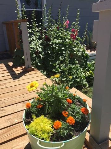 1007 N 5th, Alpine, TX 79830