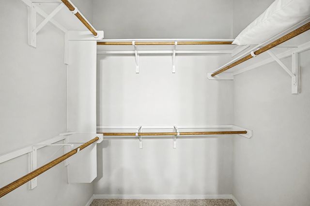 425 Spiny Lizard LN, San Marcos, TX 78666