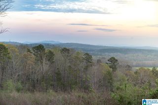 4947 HIGHWAY 231, Vincent, AL 35178