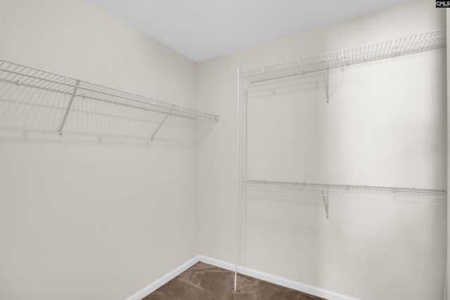 20 Persimmon Wood Court, Irmo, SC 29063