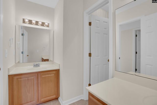 20 Persimmon Wood Court, Irmo, SC 29063