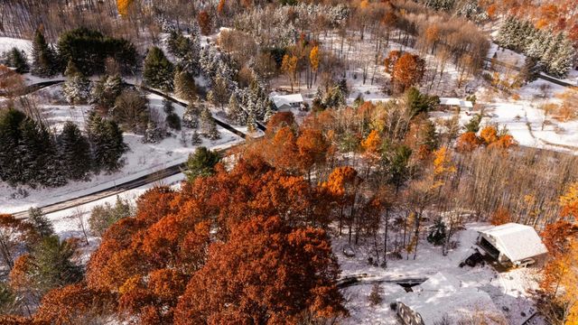 9394 E Hoxie Road, Cedar, MI 49621