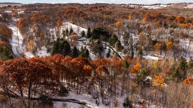 9394 E Hoxie Road, Cedar, MI 49621