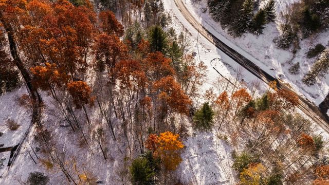 9394 E Hoxie Road, Cedar, MI 49621