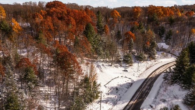 9394 E Hoxie Road, Cedar, MI 49621