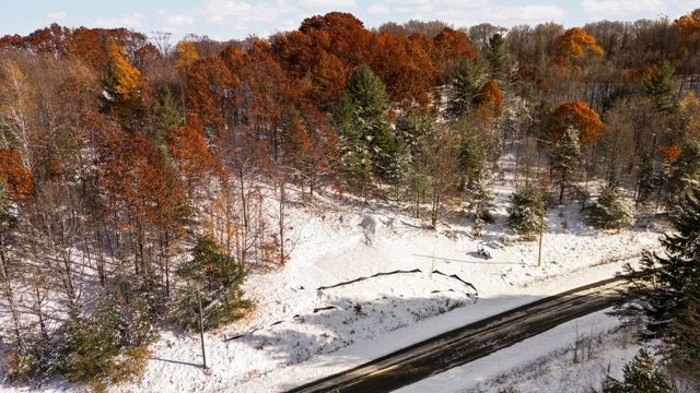 9394 E Hoxie Road, Cedar, MI 49621