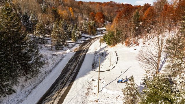 9394 E Hoxie Road, Cedar, MI 49621