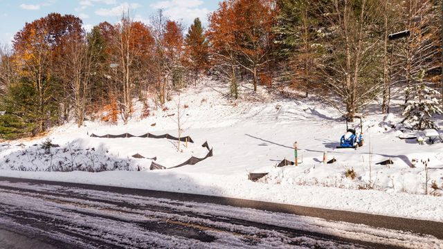 9394 E Hoxie Road, Cedar, MI 49621