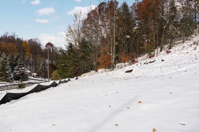 9394 E Hoxie Road, Cedar, MI 49621