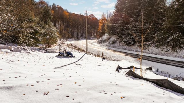 9394 E Hoxie Road, Cedar, MI 49621