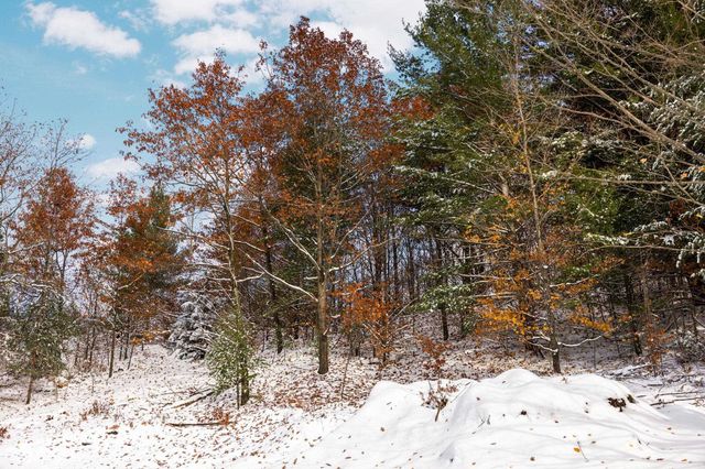 9394 E Hoxie Road, Cedar, MI 49621