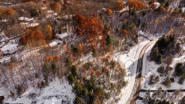 9394 E Hoxie Road, Cedar, MI 49621