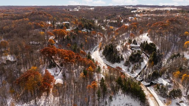 9394 E Hoxie Road, Cedar, MI 49621