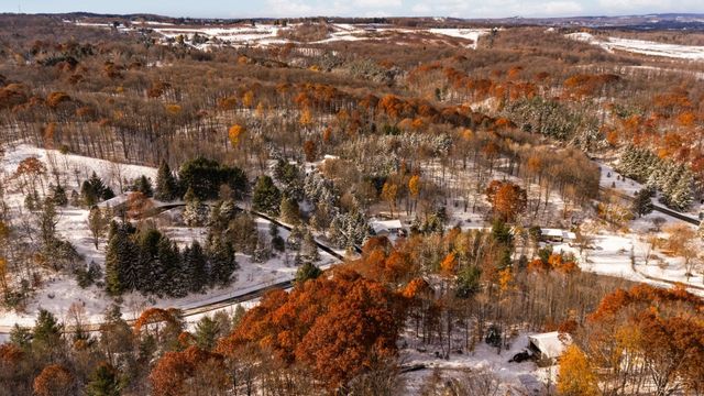 9394 E Hoxie Road, Cedar, MI 49621