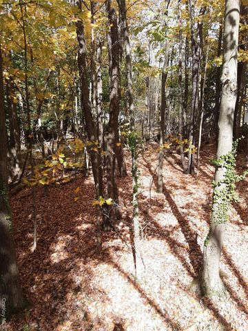 Woodland Avenue N, Liberty, NY 12754