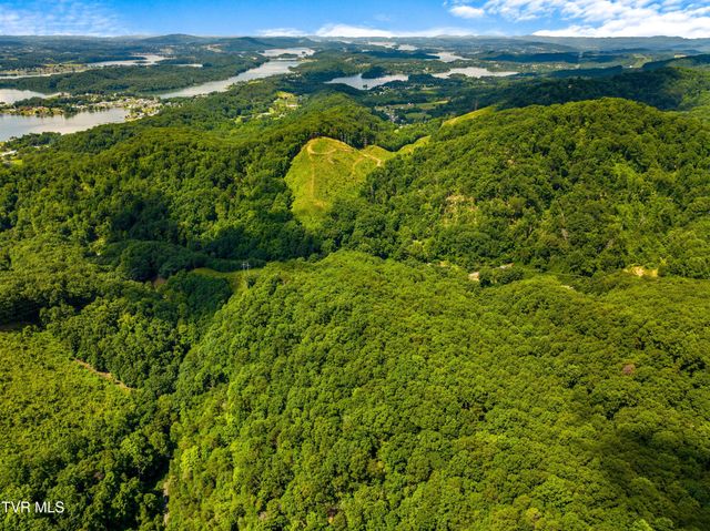 000 Shortt 8.76 Acres Road, Mooresburg, TN 37811