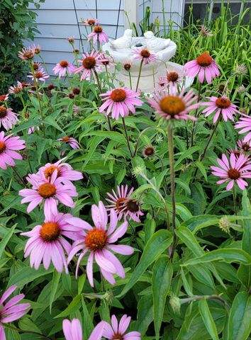 1447 Club Drive A, Glendale Heights, IL 60139