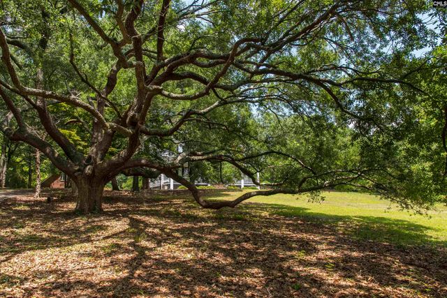 414 Greene Street, Camden, SC 29020