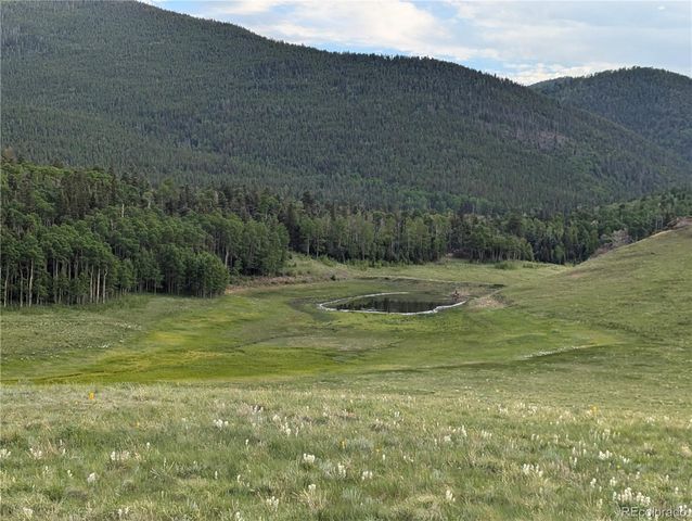 2433 Petito Drive, Fort Garland, CO 81133