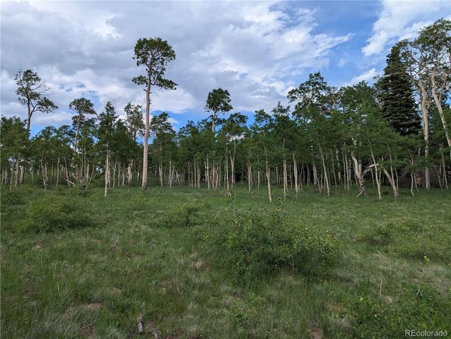 2433 Petito Drive, Fort Garland, CO 81133