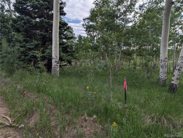 2433 Petito Drive, Fort Garland, CO 81133