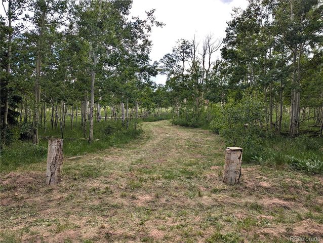 2433 Petito Drive, Fort Garland, CO 81133