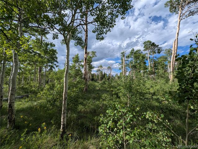 2433 Petito Drive, Fort Garland, CO 81133