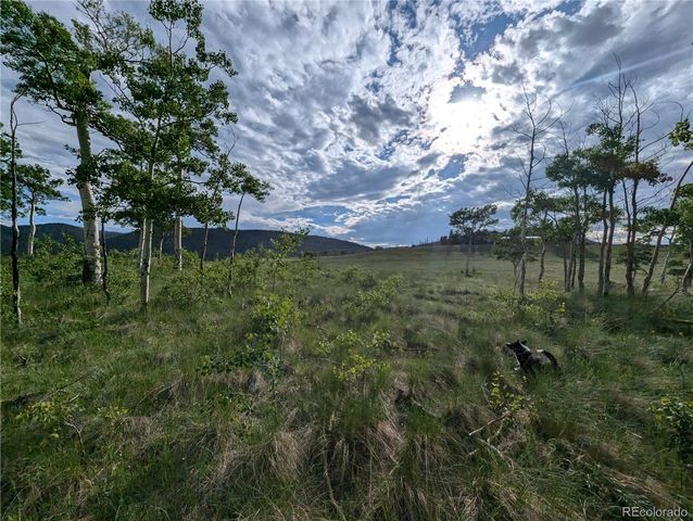 2433 Petito Drive, Fort Garland, CO 81133
