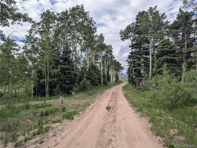 2433 Petito Drive, Fort Garland, CO 81133