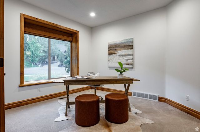 1263 E WILD MAPLE CT, Draper, UT 84020