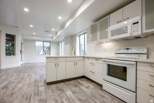 1263 E WILD MAPLE CT, Draper, UT 84020