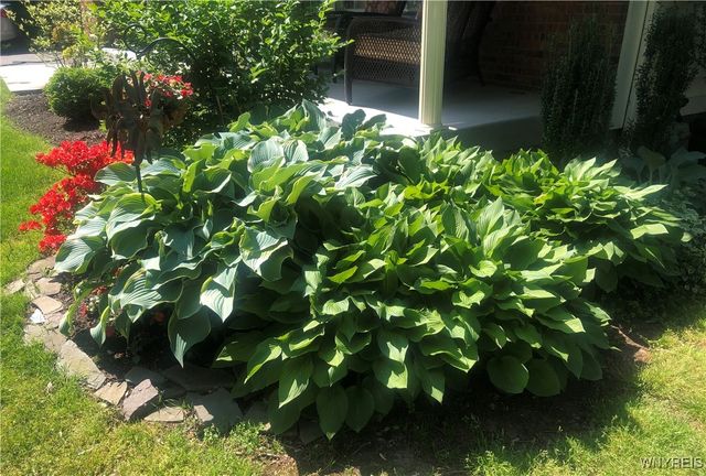 611 Sandlewood Drive, Lewiston, NY 14092