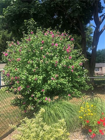 611 Sandlewood Drive, Lewiston, NY 14092