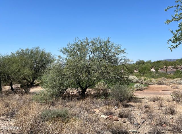 41622 N CEDAR CHASE Road, Anthem, AZ 85086