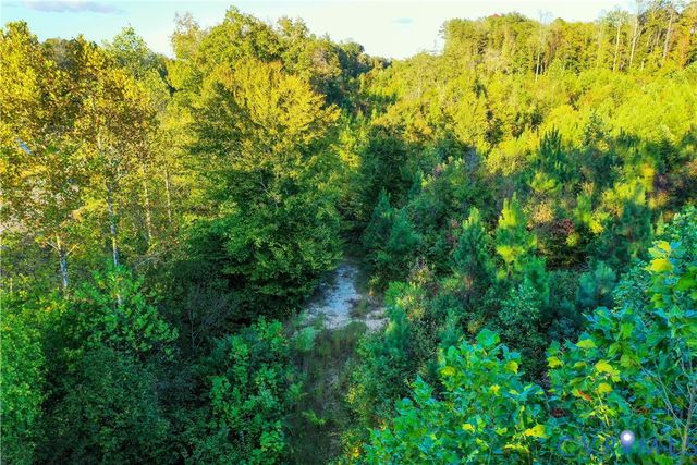 00 Old Ridge, Farmville, VA 23901