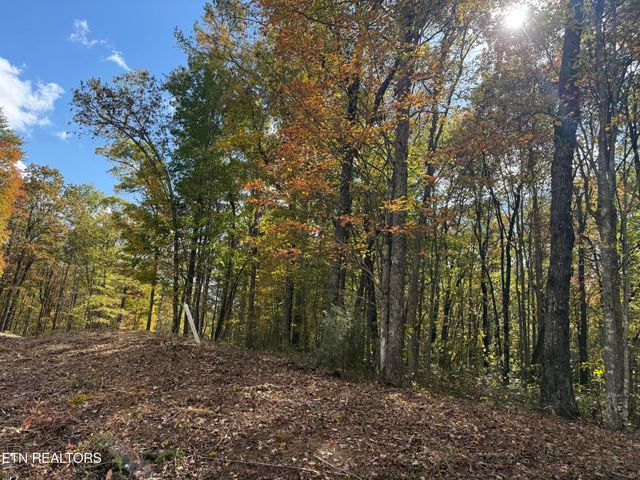 Picket Park Hwy, Jamestown, TN 38556