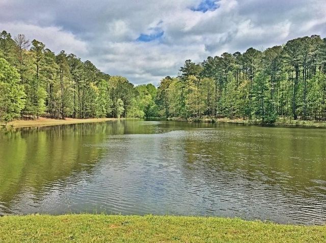 155 Canal Place, Fayetteville, GA 30215