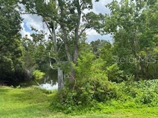 10007 EVANSTON PLACE, Tampa, FL 33624