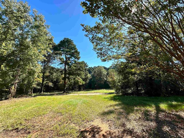 499 Mont Hall Rd, Hallsville, TX 75650