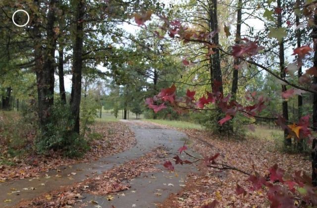 499 Mont Hall Rd, Hallsville, TX 75650