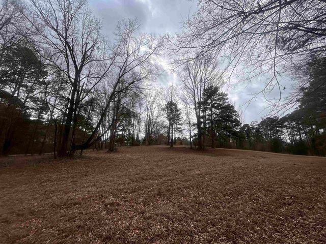 499 Mont Hall Rd, Hallsville, TX 75650