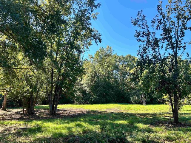 499 Mont Hall Rd, Hallsville, TX 75650