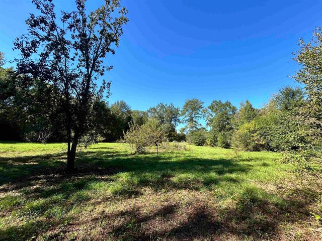 499 Mont Hall Rd, Hallsville, TX 75650