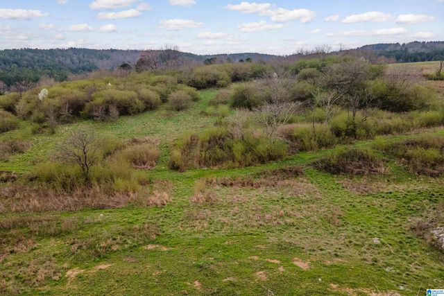 700 SARDIS ROAD, Gardendale, AL 35071