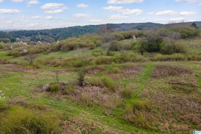 700 SARDIS ROAD, Gardendale, AL 35071