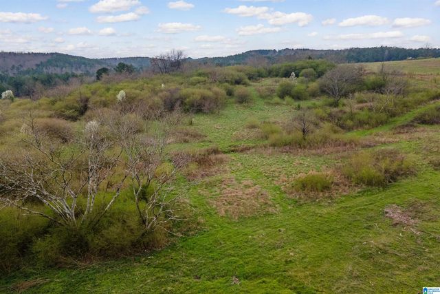 700 SARDIS ROAD, Gardendale, AL 35071