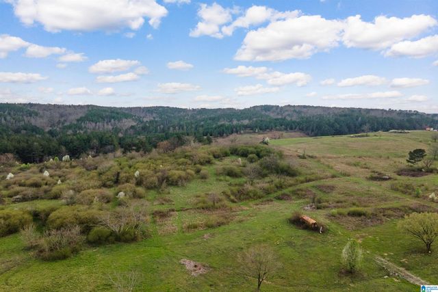 700 SARDIS ROAD, Gardendale, AL 35071