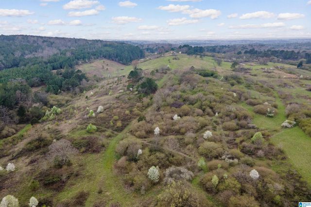 700 SARDIS ROAD, Gardendale, AL 35071